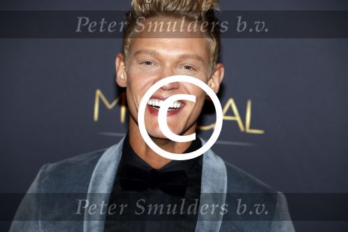 Utrecht 12 januari 2017
Uitreiking musical awards in het beatrixtheater.
Ferry Doedens