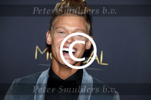 Utrecht 12 januari 2017
Uitreiking musical awards in het beatrixtheater.
Ferry Doedens
