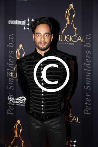 Utrecht 12 januari 2017
Uitreiking musical awards in het beatrixtheater.
Freek Bartels