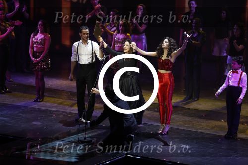Utrecht 12 januari 2017
Uitreiking musical awards in het beatrixtheater.
Gloria Estefan