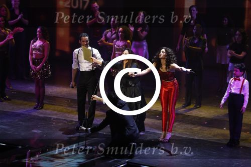 Utrecht 12 januari 2017
Uitreiking musical awards in het beatrixtheater.
Gloria Estefan