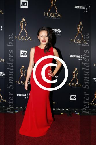 Utrecht 12 januari 2017
Uitreiking musical awards in het beatrixtheater.
Holly Brood
