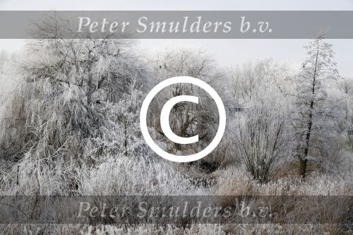 Nigtevecht 18 januari 2017
Winter in Nederland en met name in Nigtevecht.