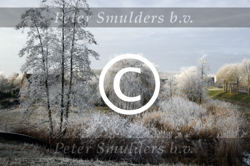 Nigtevecht 18 januari 2017
Winter in Nederland en met name in Nigtevecht.