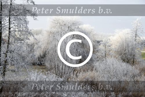 Nigtevecht 18 januari 2017
Winter in Nederland en met name in Nigtevecht.