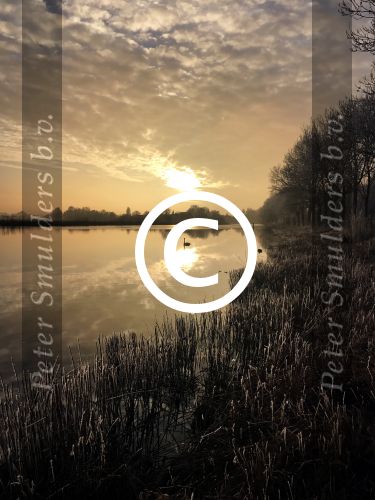 Nigtevecht 18 januari 2017
Winter in Nederland en met name in Nigtevecht.
