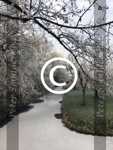 Nigtevecht 18 januari 2017
Winter in Nederland en met name in Nigtevecht.