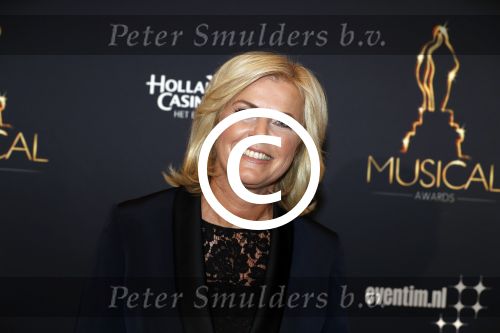 Utrecht 12 januari 2017
Uitreiking musical awards in het beatrixtheater.
Irene Moors