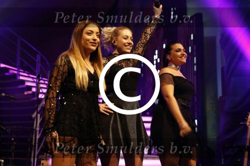 Aalsmeer 30 januari 2017
Nieuwjaarsreceptie Henk Geels in studio \'s Aalsmeer. O\'G3ne