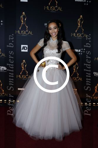 Utrecht 12 januari 2017
Uitreiking musical awards in het beatrixtheater.
Romy Monteiro