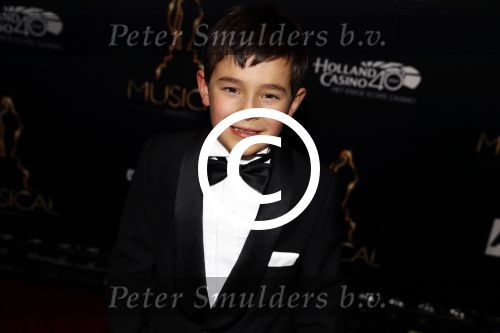 Utrecht 12 januari 2017
Uitreiking musical awards in het beatrixtheater.
Silver Metz