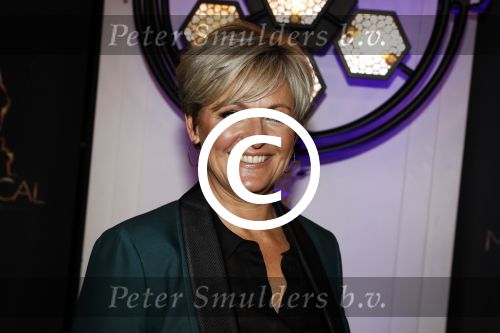 Scheveningen 24 januari 2018
Uitreiking musical awards in circustheater. Caroline Tensen
