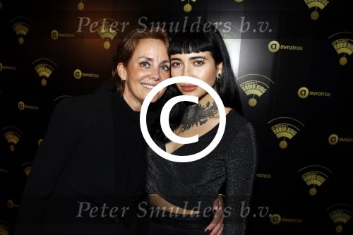 Hilversum 25 januari 2018
Radio ring gala in theater Gooiland.