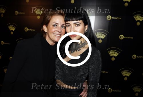 Hilversum 25 januari 2018
Radio ring gala in theater Gooiland.