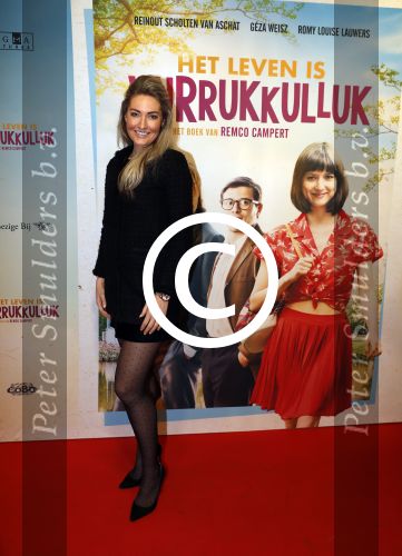 Amsterdam 22 januari 2018
Premiere het leven in vurrukkuluk in Tuschinski. Felice Bakker
