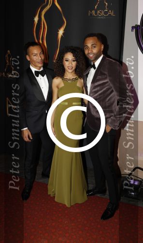 Scheveningen 24 januari 2018
Uitreiking musical awards in circustheater