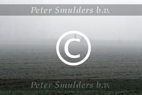 Hummelo 26  januari 2018
Nick Dijkman spreekt Brigitte Klynstra aan op de weg naar haar huis.