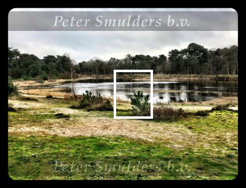 Vlieland 2017