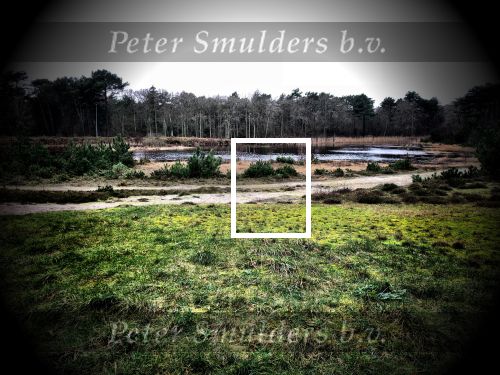 Vlieland 2017