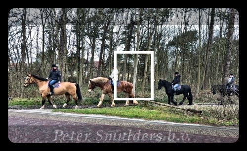 Vlieland 2017