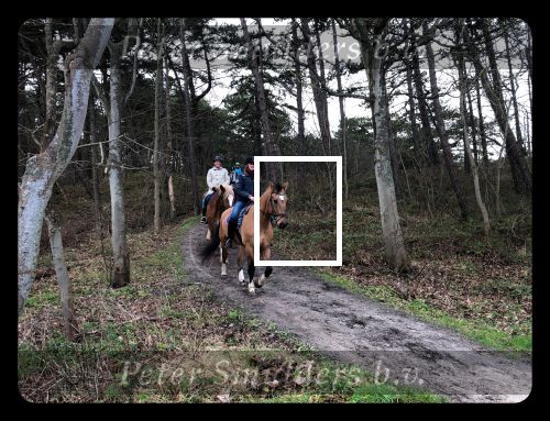 Vlieland 2017