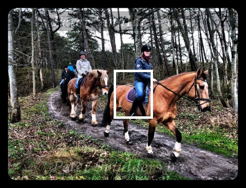 Vlieland 2017