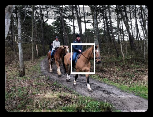 Vlieland 2017