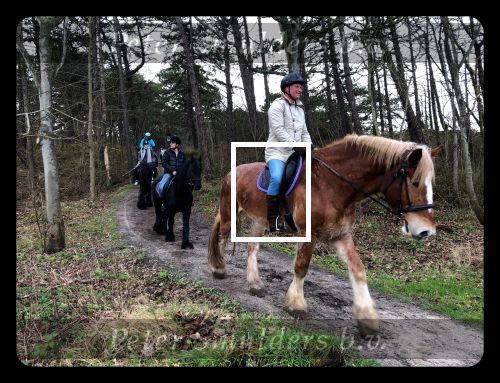 Vlieland 2017