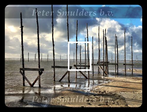Vlieland 2017