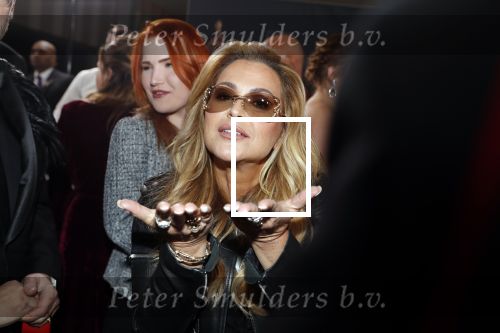 Amsterdam 23 januari 2019
Rode loper musical awards in de RAI. Anastacia