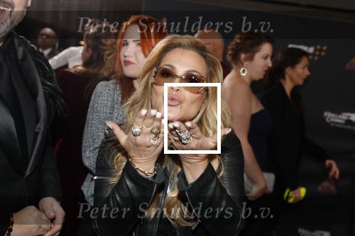 Amsterdam 23 januari 2019
Rode loper musical awards in de RAI. Anastacia