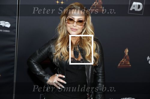 Amsterdam 23 januari 2019
Rode loper musical awards in de RAI. Anastacia