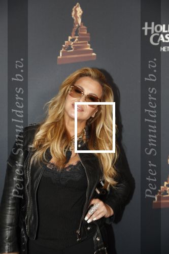 Amsterdam 23 januari 2019
Rode loper musical awards in de RAI. Anastacia
