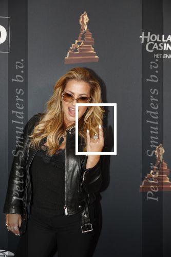 Amsterdam 23 januari 2019
Rode loper musical awards in de RAI. Anastacia