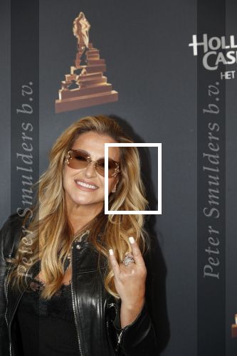 Amsterdam 23 januari 2019
Rode loper musical awards in de RAI. Anastacia