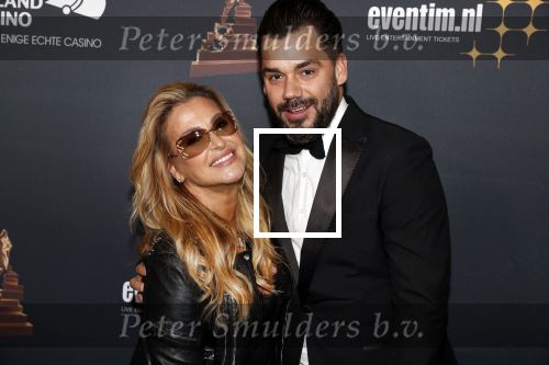 Amsterdam 23 januari 2019
Rode loper musical awards in de RAI. Anastacia en Janice