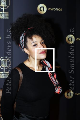 Hilversum 31 januari 2019
Uitreiking van de gouden radioring in theater Gooiland.
Angelique Houtveen