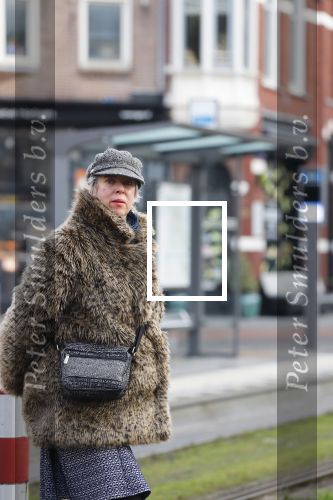 Amsterdam 29 januari 2019
Anne Rose Bantzinger