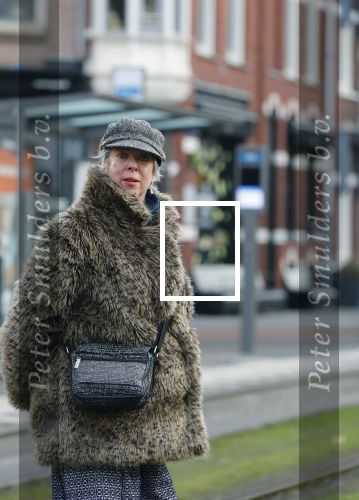 Amsterdam 29 januari 2019
Anne Rose Bantzinger