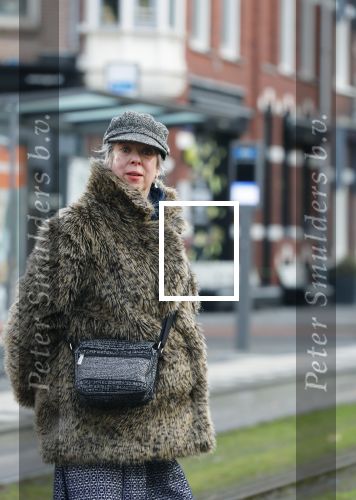 Amsterdam 29 januari 2019
Anne Rose Bantzinger