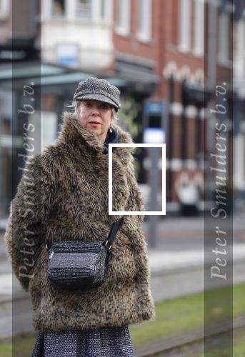 Amsterdam 29 januari 2019
Anne Rose Bantzinger