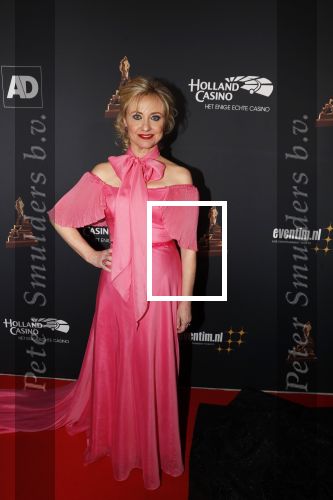 Amsterdam 23 januari 2019
Rode loper musical awards in de RAI. Bianca Krijgsman