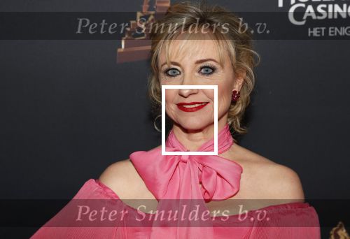 Amsterdam 23 januari 2019
Rode loper musical awards in de RAI. Bianca Krijgsman