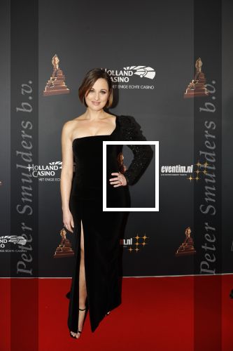 Amsterdam 23 januari 2019
Rode loper musical awards in de RAI. Brigitte Heitzer