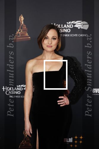 Amsterdam 23 januari 2019
Rode loper musical awards in de RAI. Brigitte Heitzer