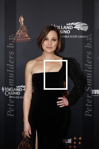 Amsterdam 23 januari 2019
Rode loper musical awards in de RAI. Brigitte Heitzer