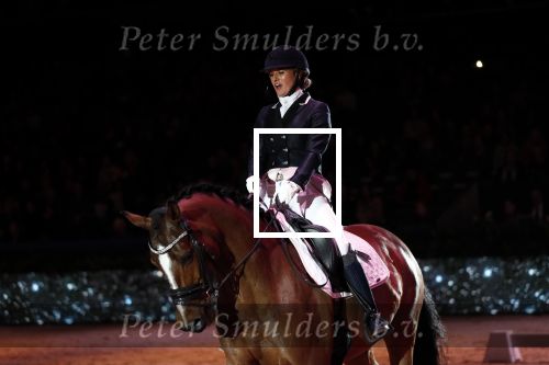 Amsterdam 25 januari 2019
Britt Dekker geeft demonstratie met haar paard op Jumping Amsterdam.