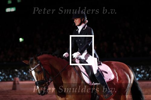 Amsterdam 25 januari 2019
Britt Dekker geeft demonstratie met haar paard op Jumping Amsterdam.