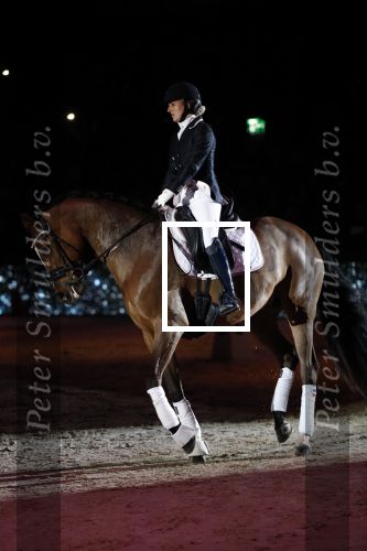 Amsterdam 25 januari 2019
Britt Dekker geeft demonstratie met haar paard op Jumping Amsterdam.