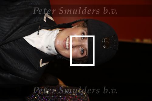 Amsterdam 25 januari 2019
Britt Dekker geeft demonstratie met haar paard op Jumping Amsterdam.